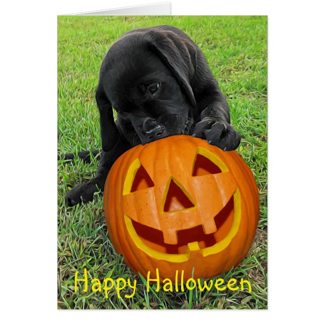 Cachorro de calabaza de Halloween - Laboratorio ne (Frente)