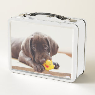 Cachorro de chocolate con pato de juguete