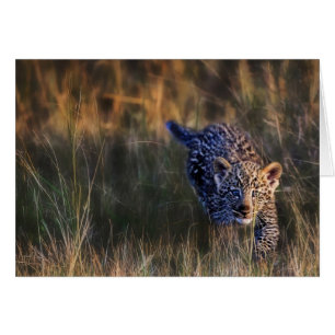 Cachorro de leopardo Panthera Pardus