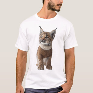 Cachorro de Lince Adorable con Jersey de Punto Mar