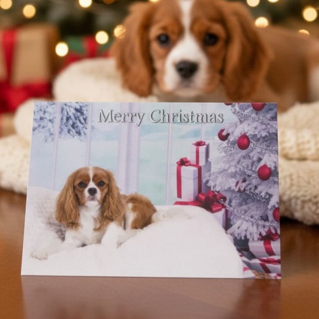 Cachorro de Navidad de raza Cavalier King Charles  (Subido por el creador)