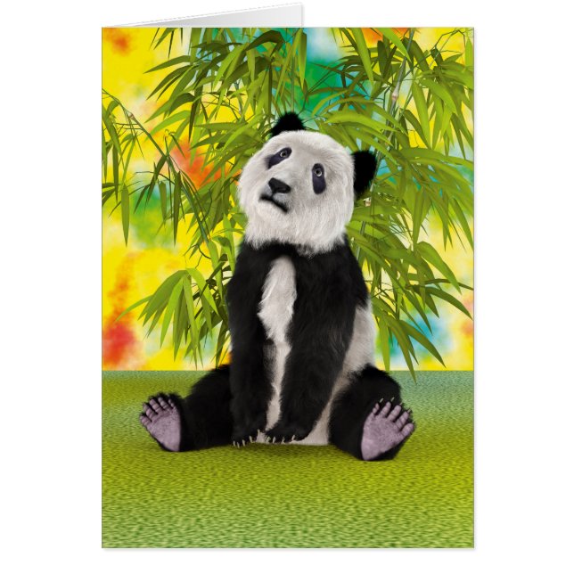Cachorro de oso panda (Frente)