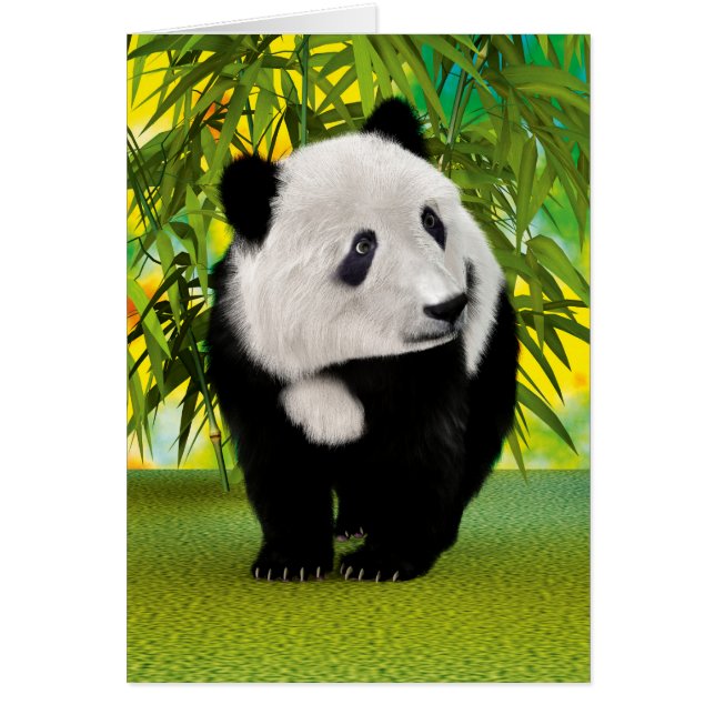Cachorro de oso panda (Frente)