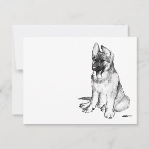 Cachorro de Pastor Alemán