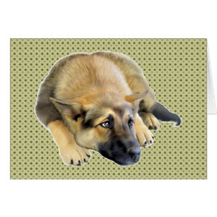 Cachorro de pastor alemán