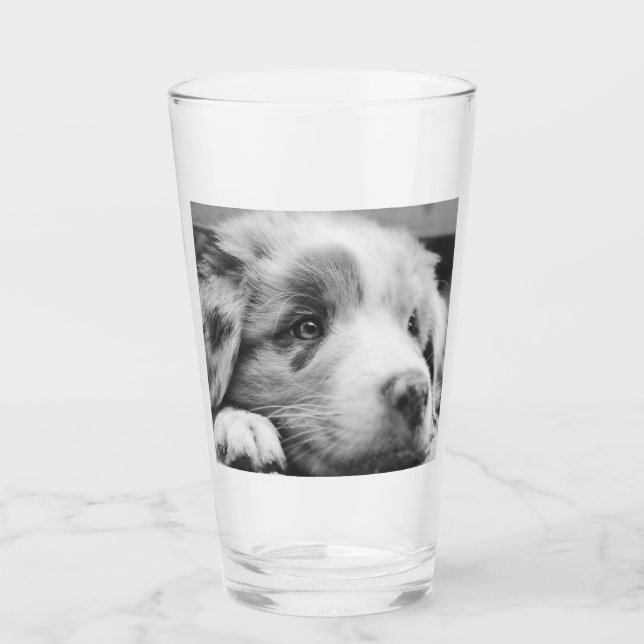 cachorro de pastor australiano (Anverso)