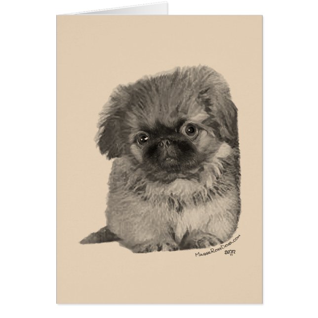 Cachorro de Pekín (Frente)