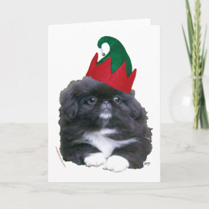 Cachorro de Pekín Elfo Navidad