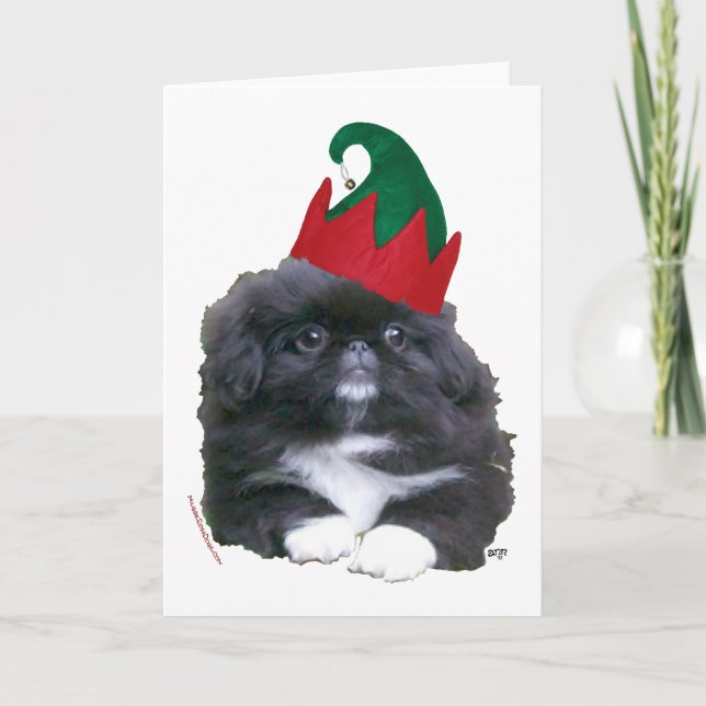Cachorro de Pekín Elfo Navidad (Anverso)