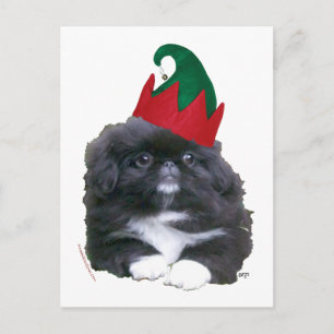 Cachorro de Pekín Elfo Navidad