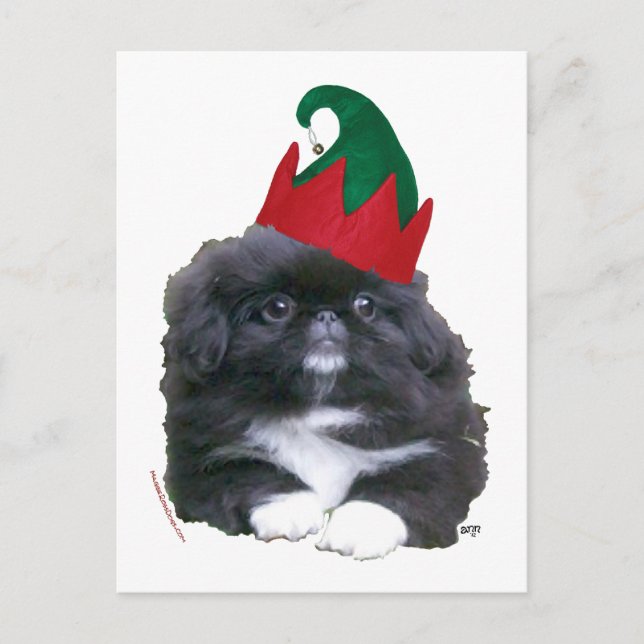 Cachorro de Pekín Elfo Navidad (Anverso)