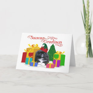 Cachorro de Pekín Elfo Navidad