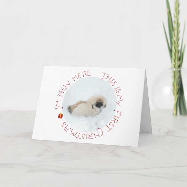 Cachorro de Pekín Primera Navidad (Anverso)