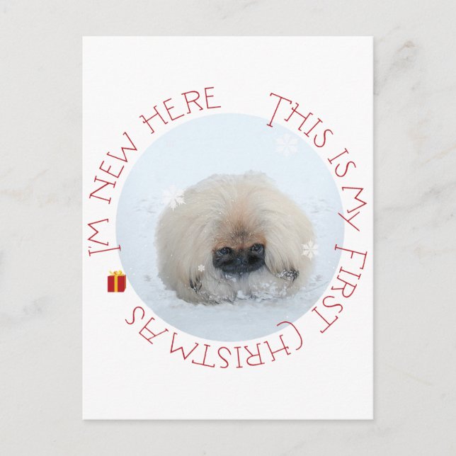 Cachorro de Pekín Primera Navidad (Anverso)