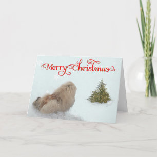 Cachorro de Pekín Primera Navidad