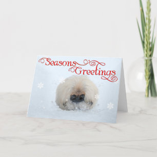 Cachorro de Pekín Primera Navidad