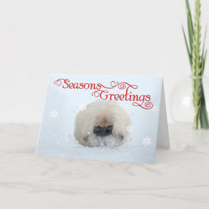 Cachorro de Pekín Primera Navidad