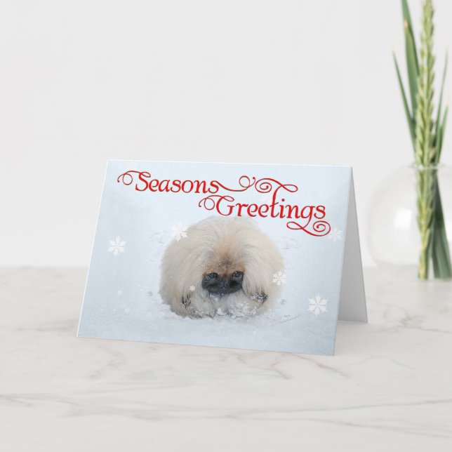Cachorro de Pekín Primera Navidad (Anverso)