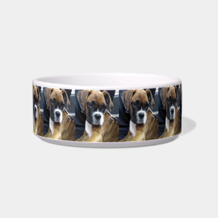 cachorro de perro boxer plato de perro