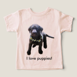 Cachorro de recuperación de bahía de Chesapeake