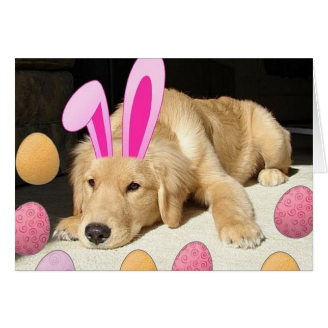 Cachorro de recuperación de oro de Pascua (Anverso (Horizontal))