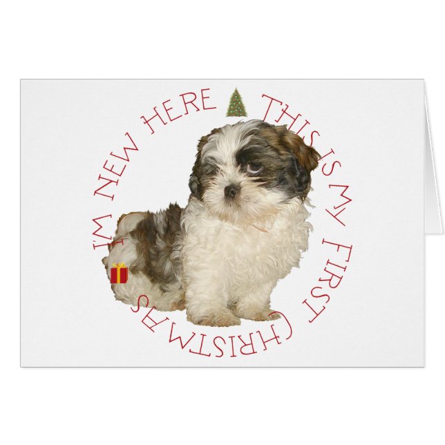 Cachorro de Shih Tzu Primera Navidad (Anverso (Horizontal))