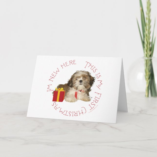 Cachorro de Shih Tzu Primera Navidad (Anverso)