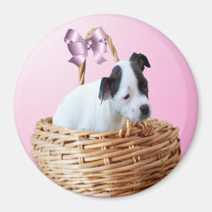 Cachorro de Staffordshire blanco negro, imán