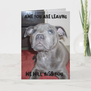 cachorro de Staffordshire Bull Terrier, tarjeta de