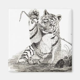 Cachorro de tigre que juega el imán