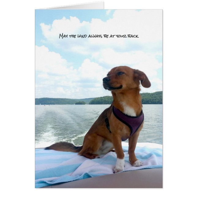 Cachorro en el viento del barco en los sentimiento (Frente)