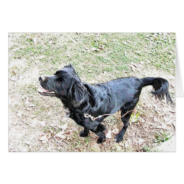 Cachorro esperando para ir de paseo (Anverso (Horizontal))