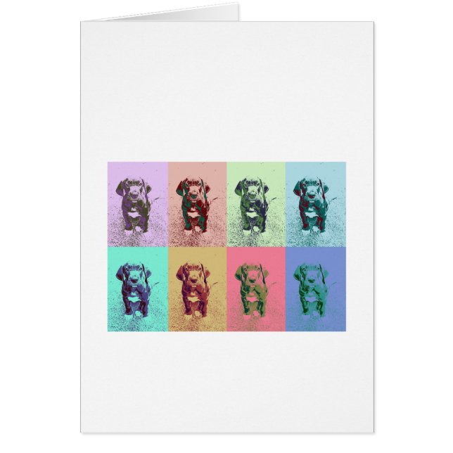 Cachorro FarbMuster Calla (Frente)