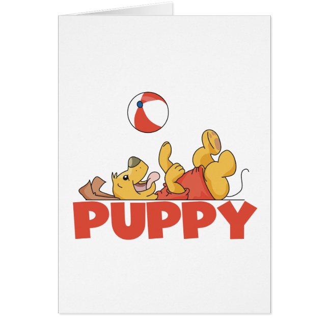 Cachorro juega a las camisetas y a los regalos (Frente)