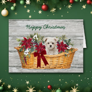 Cachorro maltés blanco en tarjeta de Navidades de