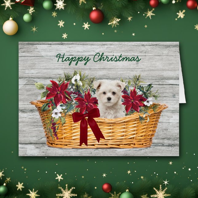 Cachorro maltés blanco en tarjeta de Navidades de  (Subido por el creador)