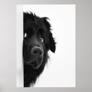 Cachorro Peek-a-Boo: impresión fotográfica de perr