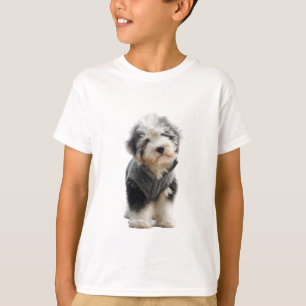 Cachorro Pequeño con Jersey de Punto Desgreñado