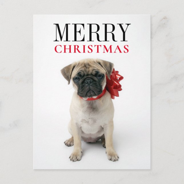 Cachorro Pug con Lazo de Navidad (Anverso)