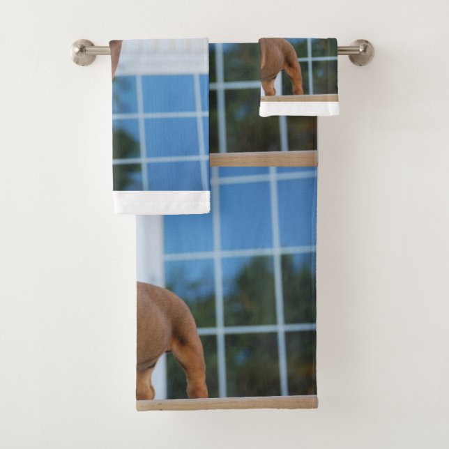 cachorro rojo y blanco bulldog (In situ)