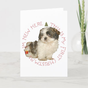 Cachorro Shih Tzu Primera Navidad