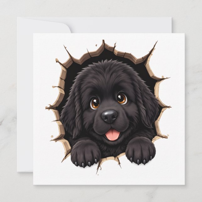 Cachorro Terranova Peek A Boo (Anverso)