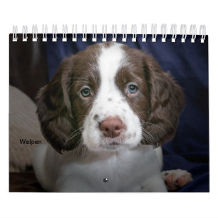 Cachorros calendarios