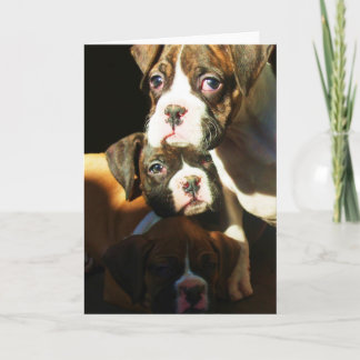 Cachorros de boxeo Tarjeta de saludo