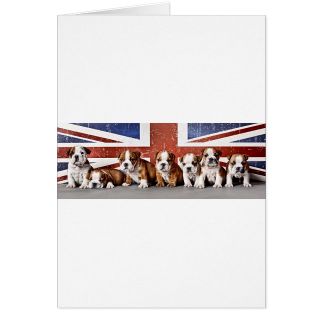 Cachorros de bulldog ingleses (Frente)