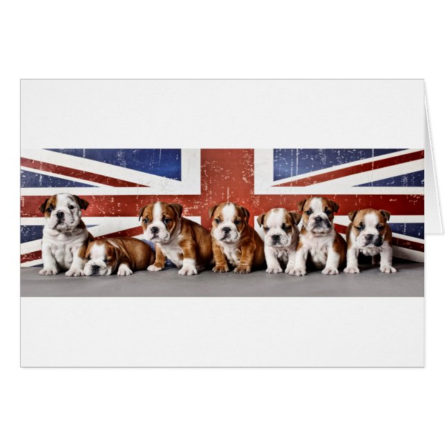 Cachorros de bulldog ingleses (Anverso (Horizontal))