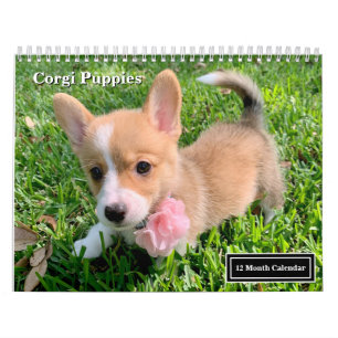 Cachorros de Corgi Adorables Calendario de Pared 2