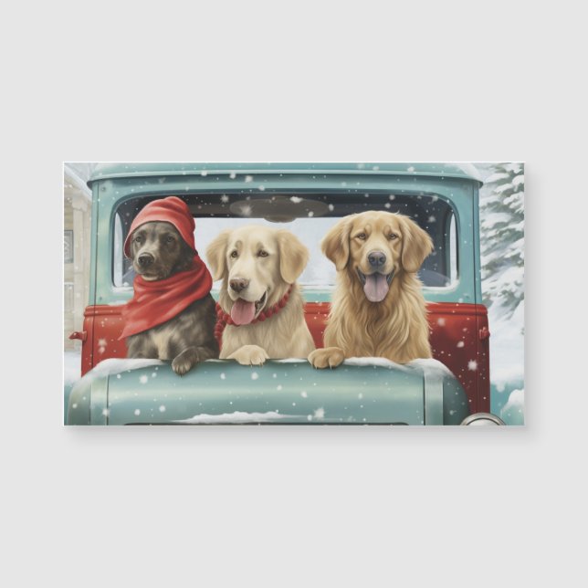 Cachorros de Fiesta (Anverso)