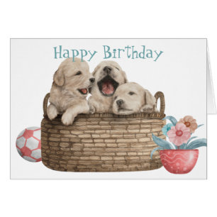 Cachorros de Golden Retriever en la tarjeta de cum