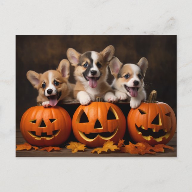 Cachorros de Halloween con postal de Pumpkin (Anverso)